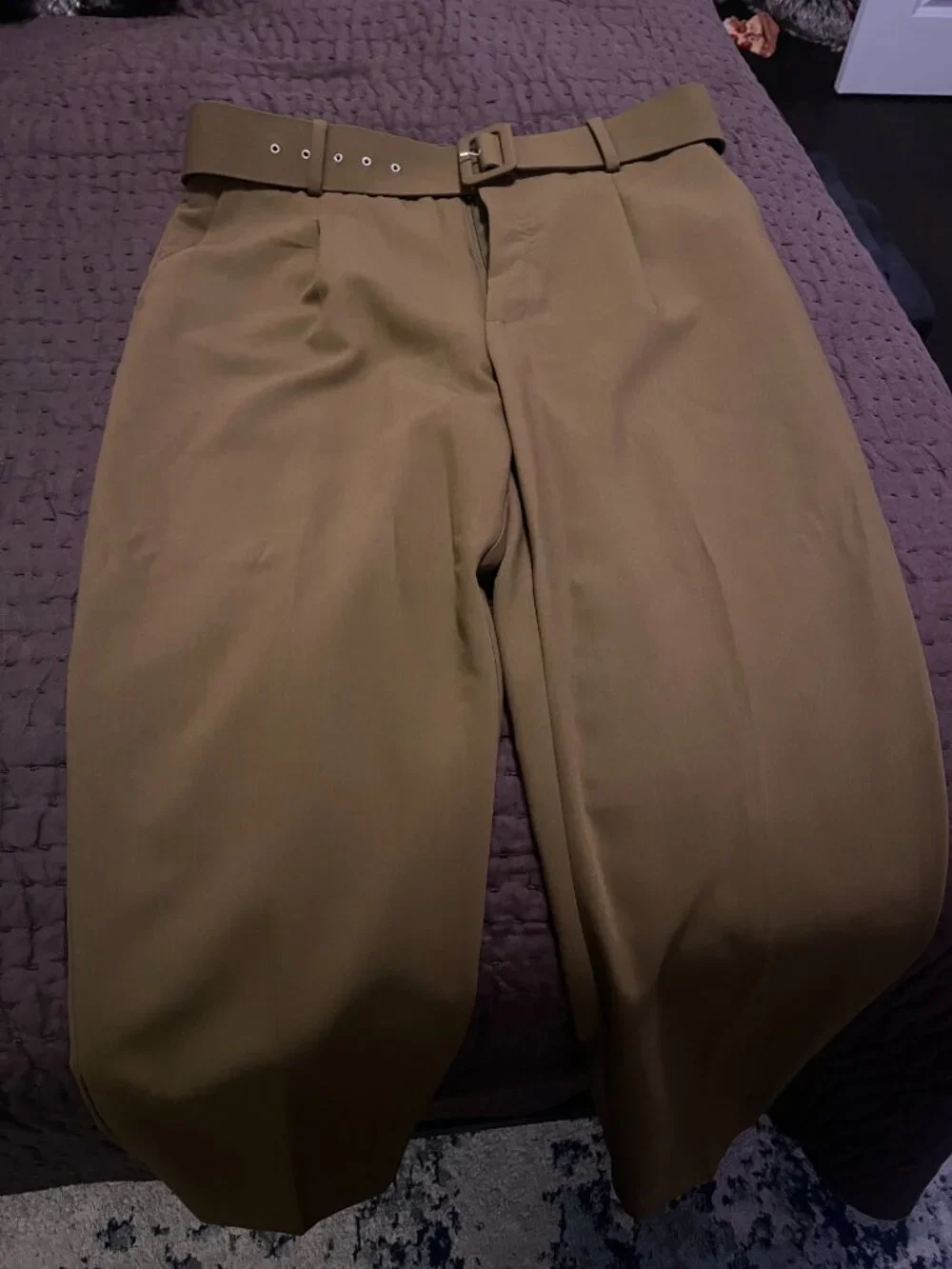 Zara Fitted Blazer & Pleated Pants (Olive) (Size XL)